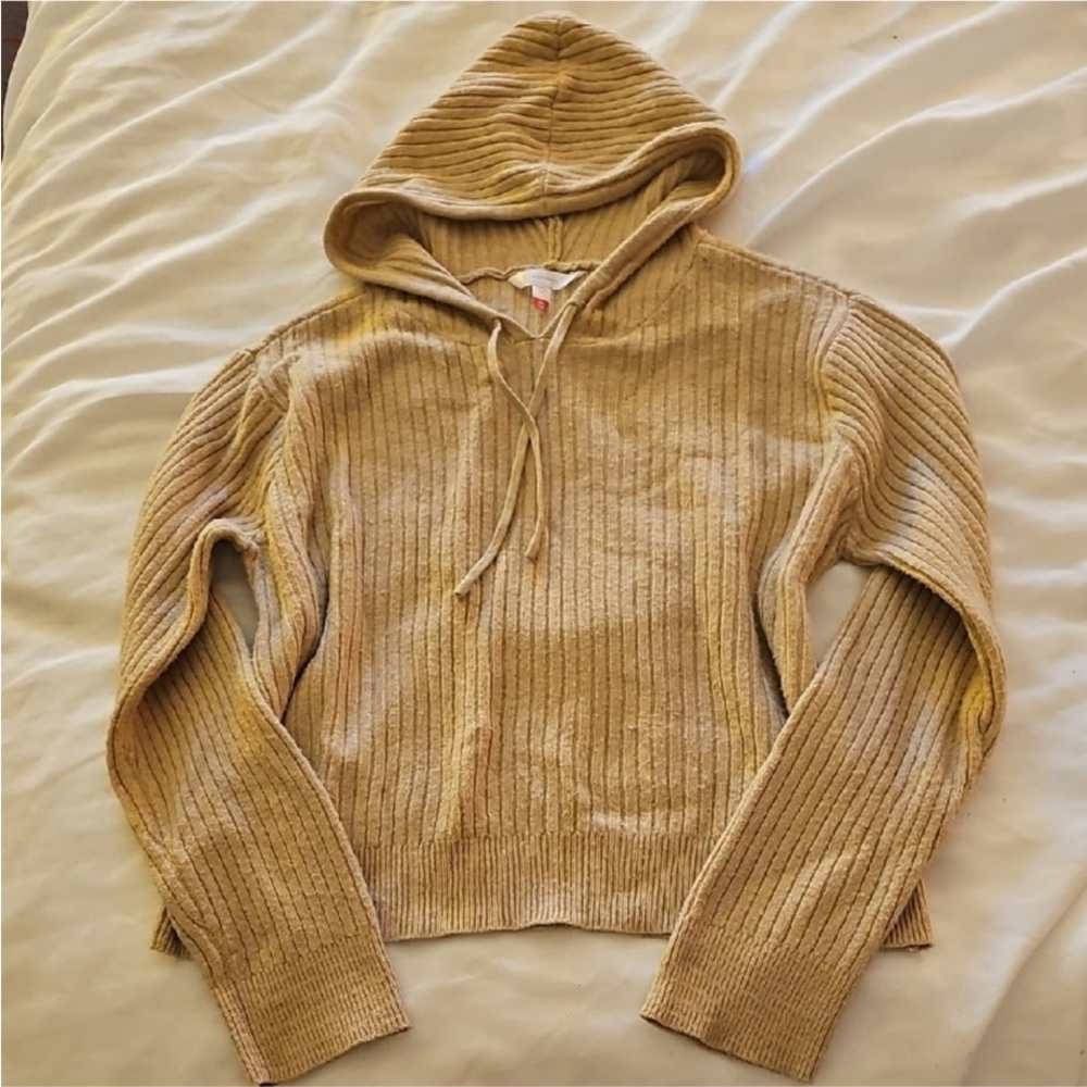 Cozy Tan Hooded Sweater